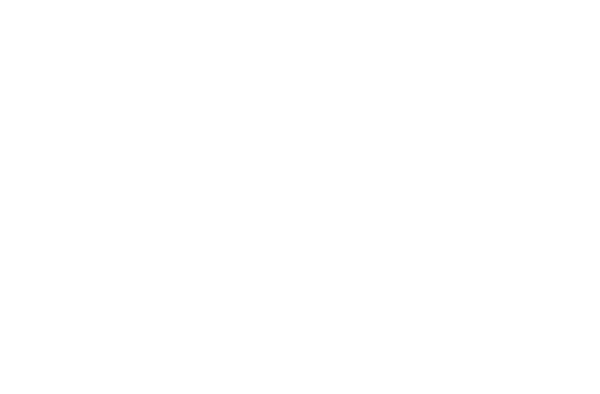 Finesse Digital Media white logo